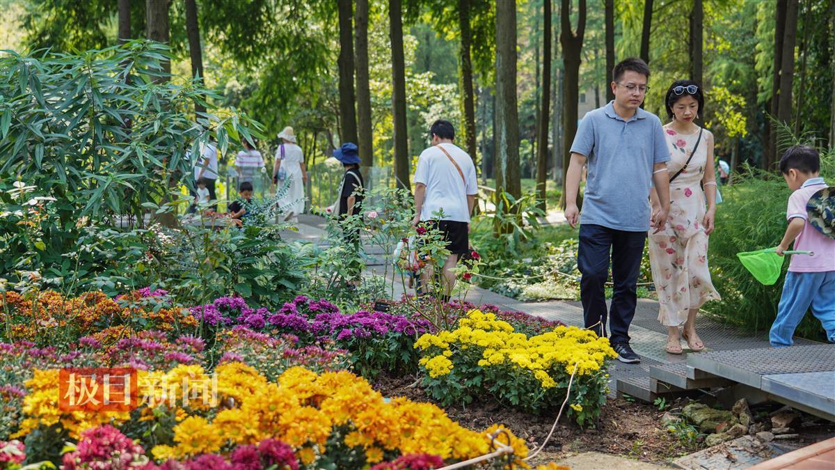 欢乐游戏公司